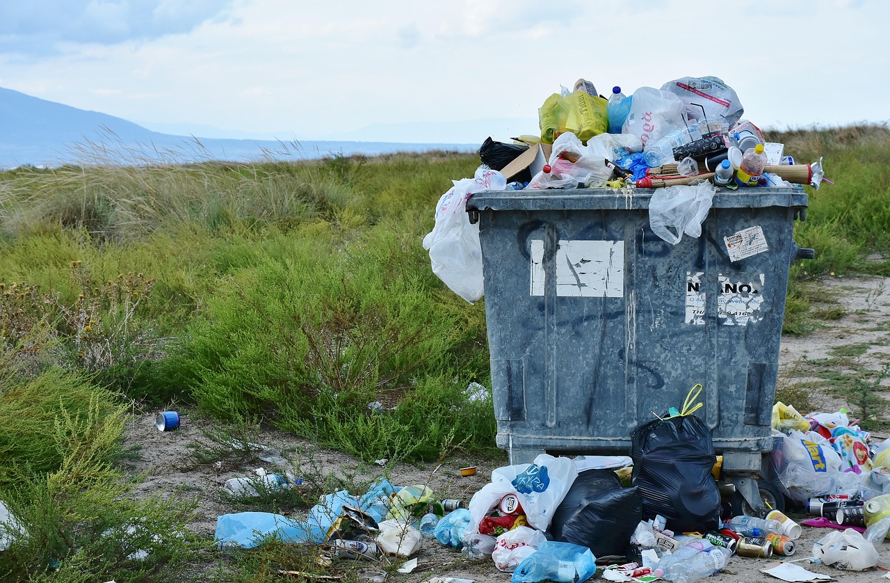 découvrez nos services de collecte des déchets, une solution efficace et respectueuse de l'environnement pour gérer vos déchets au quotidien. explorez nos options de collecte adaptées à vos besoins et participez à un avenir plus durable.