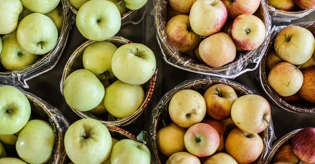 Alimentation durable : 5 conseils pratiques pour réduire votre impact écologique