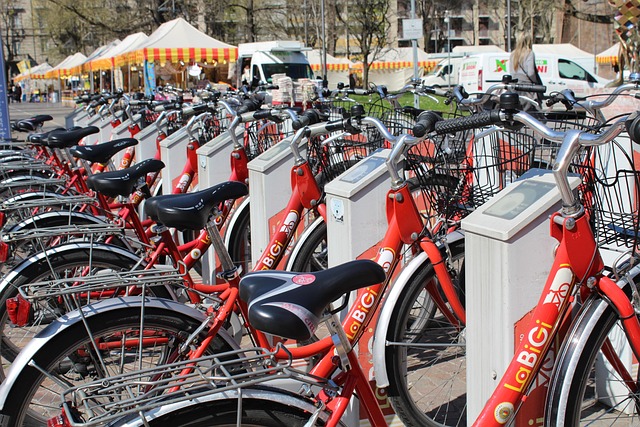 Écologie et quotidien : gestes simples pour un mode de vie durable