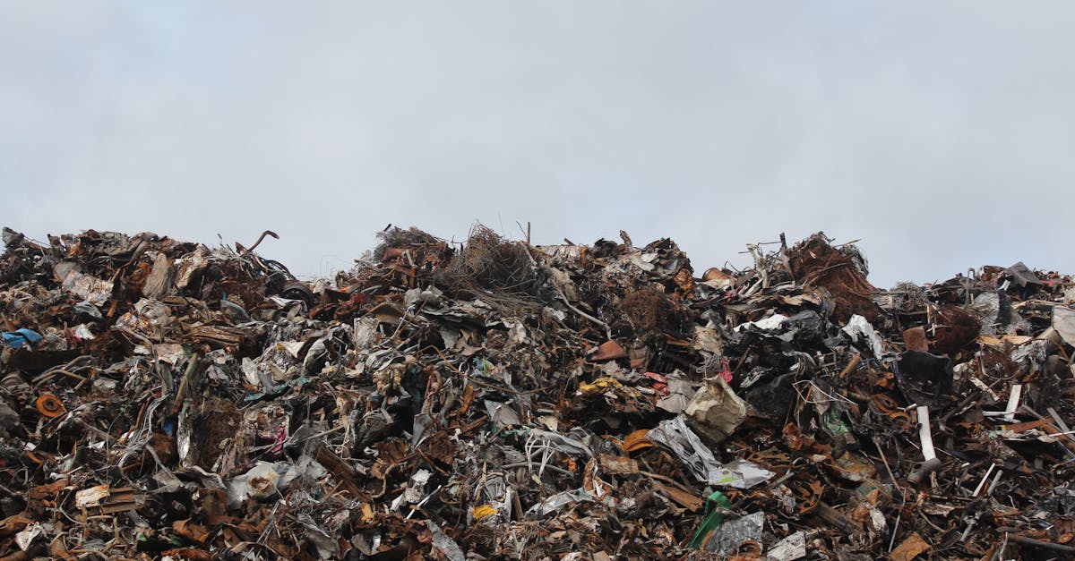 Écologie : Comprendre l’impact des déchets plastiques sur notre planète