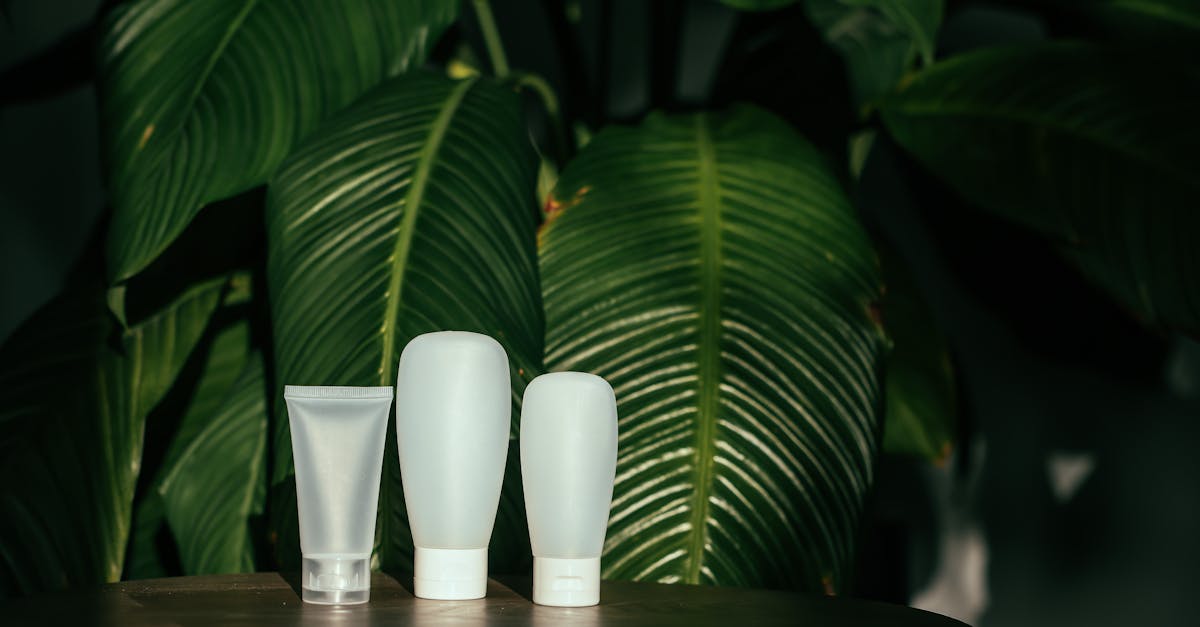 Produits biodégradables : une solution écologiques pour réduire notre empreinte