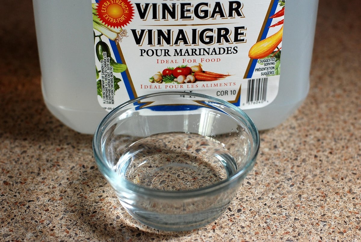 Produits ménagers écologiques : Conseils et alternatives saines pour un intérieur plus vert