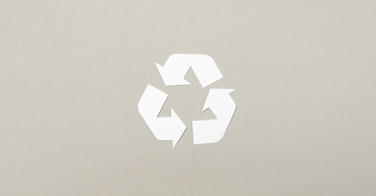 Partage des pratiques durables : Comment adopter un mode de vie éco-responsable au quotidien