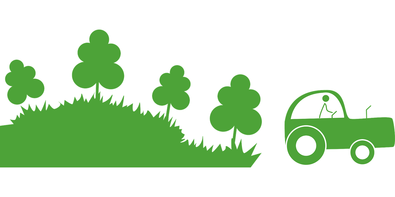 L’agroforesterie : une solution durable pour l’agriculture et la biodiversité