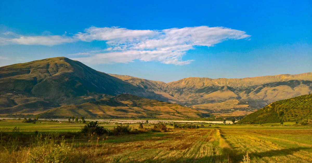 Écotourisme : 5 destinations incontournables pour des voyages responsables