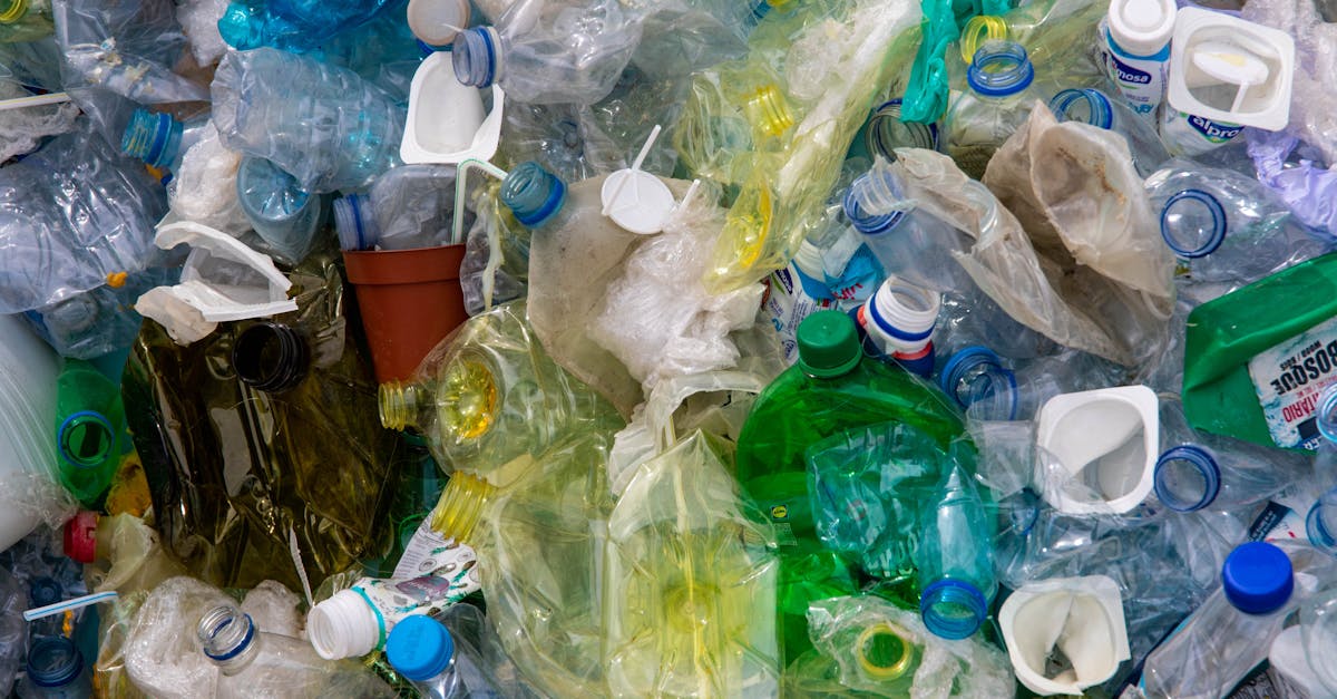 Recyclage : Les meilleures pratiques pour réduire vos déchets au quotidien