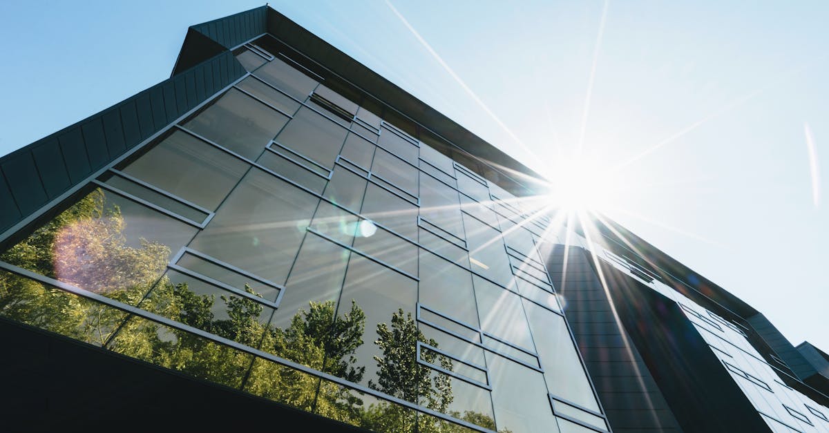 Progrès technologique vert : Innovations pour un avenir durable
