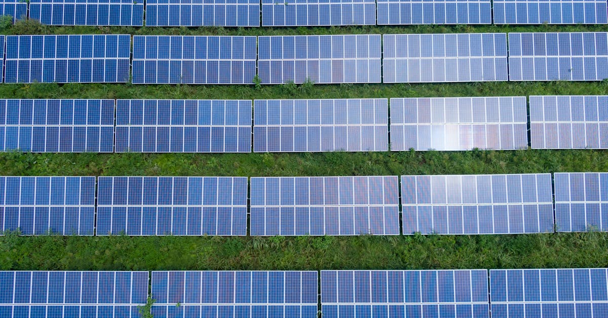 Carte des énergies renouvelables : comprendre leur répartition et impact