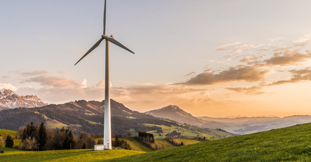Ateliers écologiques : Comment participer pour un avenir durable