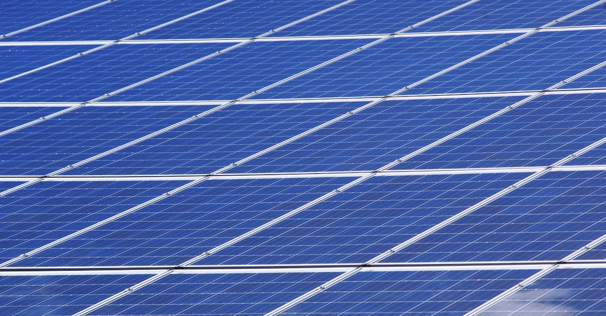 Neutralité carbone : comprendre les enjeux et les solutions pour un avenir durable