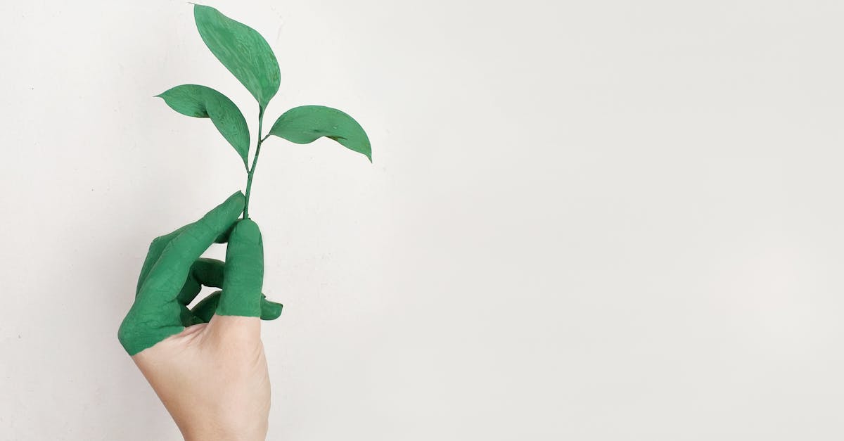 Protection de la planète : 10 gestes simples pour un futur durable