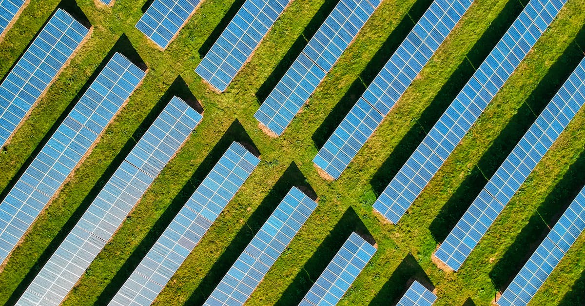 Développement écologique : les nouvelles stratégies pour un avenir durable