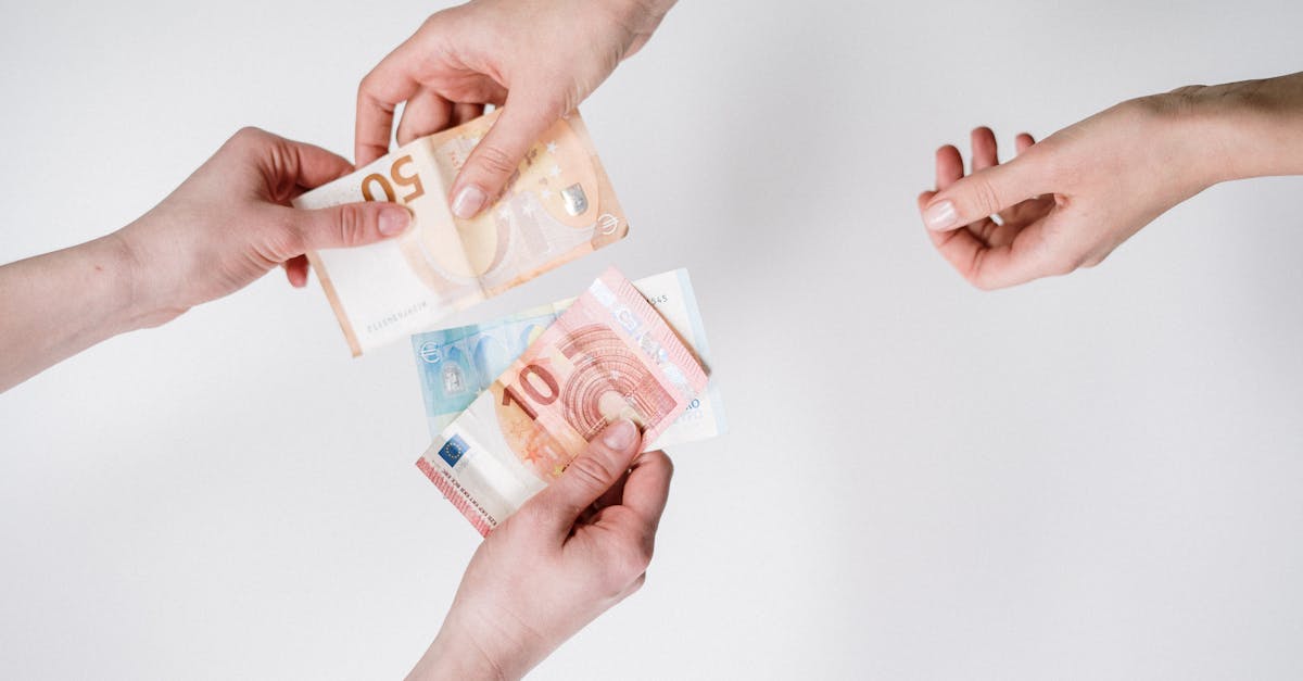 Financement vert : Comment investir durablement pour un avenir écologique