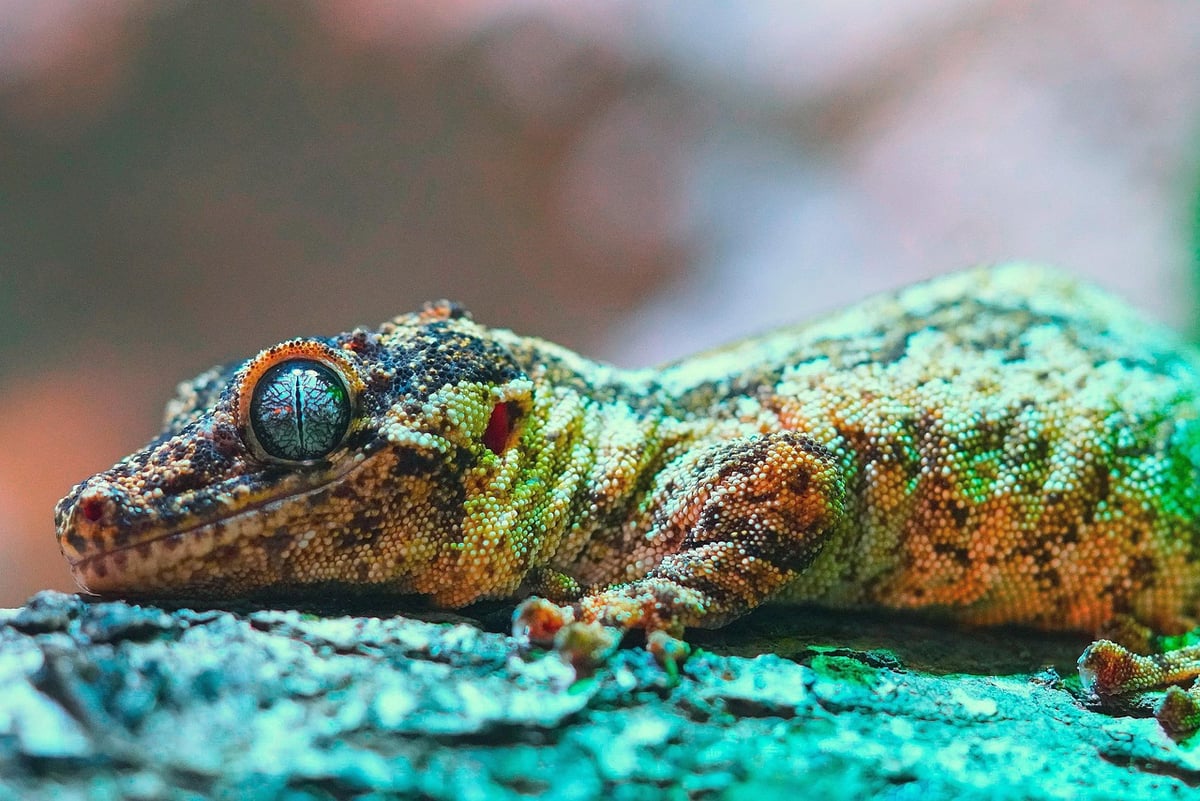 La préservation du patrimoine naturel : un enjeu crucial pour l’avenir