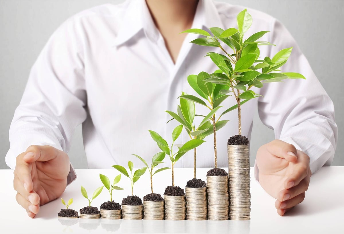 L’impact de l’économie verte sur la durabilité environnementale
