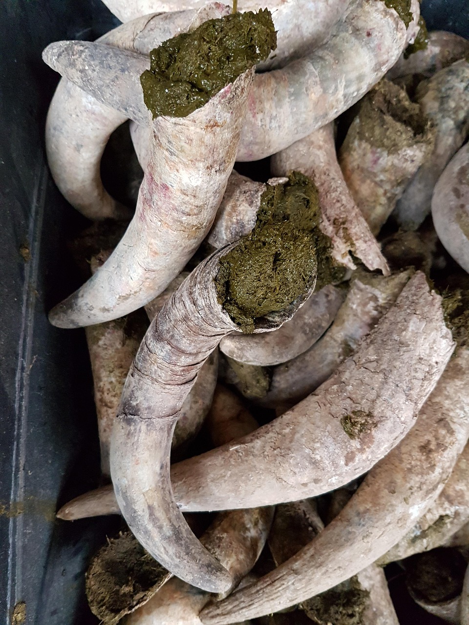 Comprendre les principes de la biodynamique en agriculture