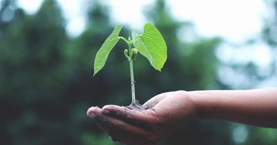 Produits écoresponsables : adoptez un mode de vie durable et respectueux de l’environnement