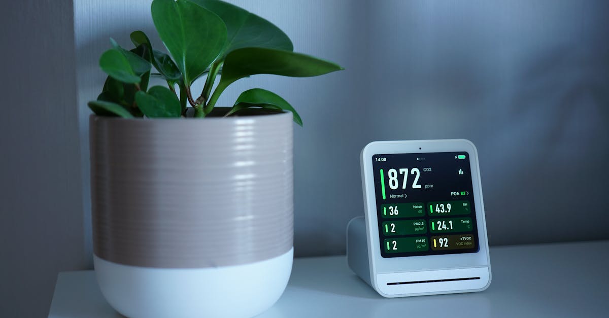 Monitoring écologique : comprendre l’importance de la surveillance environnementale