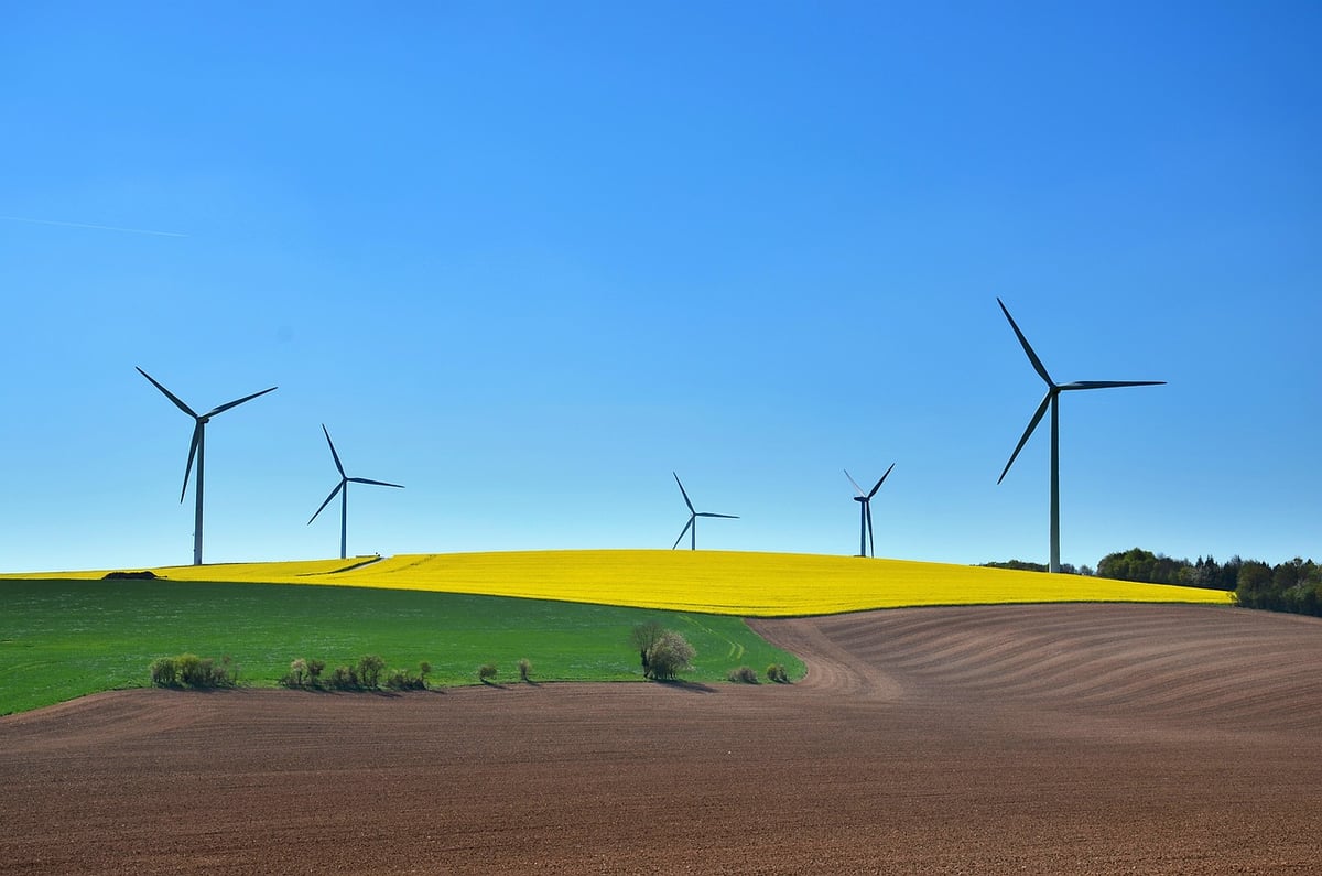 Préconisations écologiques pour un avenir durable