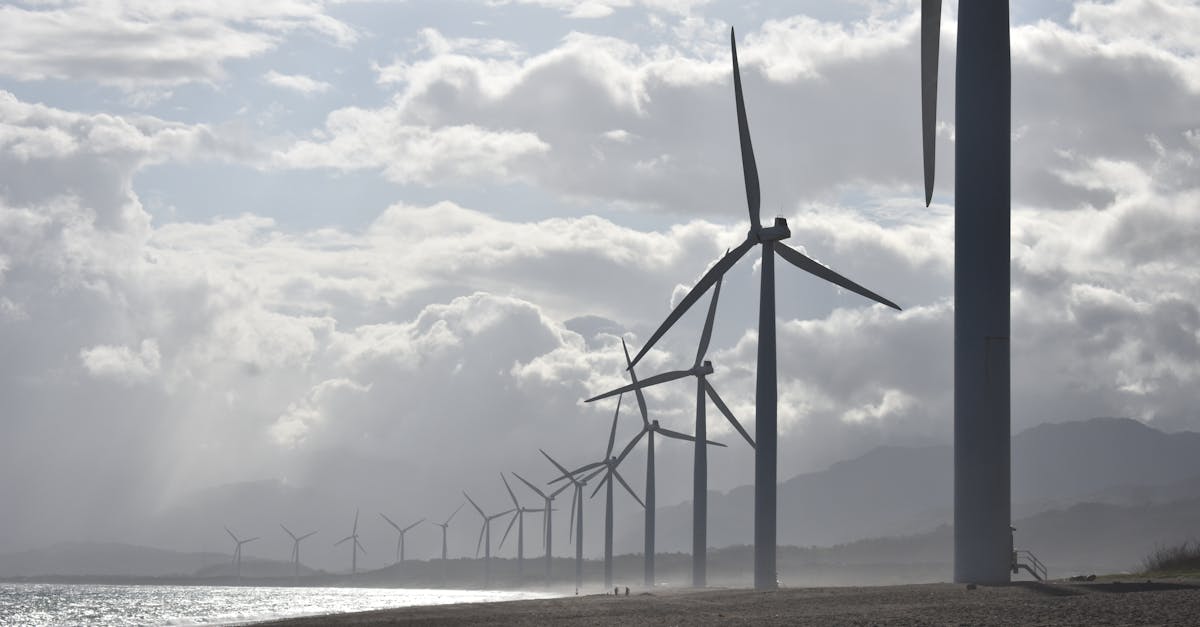 Plans d’action climat : stratégies pour un avenir durable