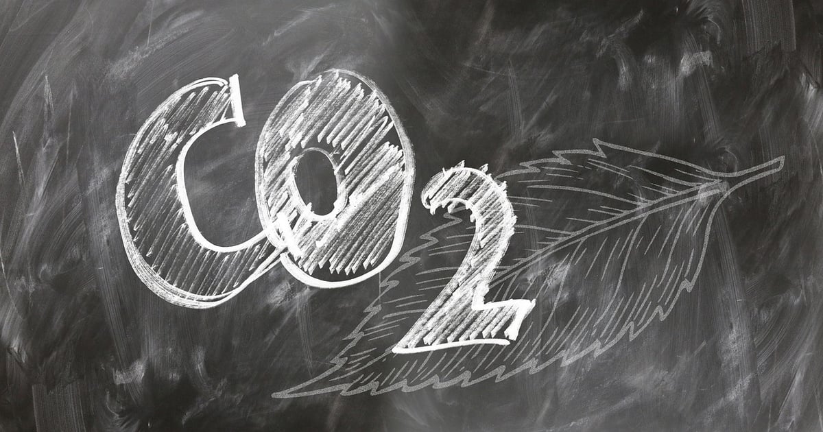 La neutralité carbone : enjeux et solutions pour un avenir durable