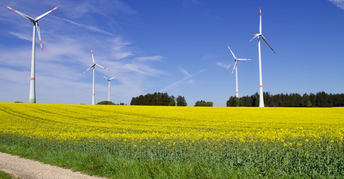 Agriculture bio : Les bienfaits d’une pratique durable pour l’environnement