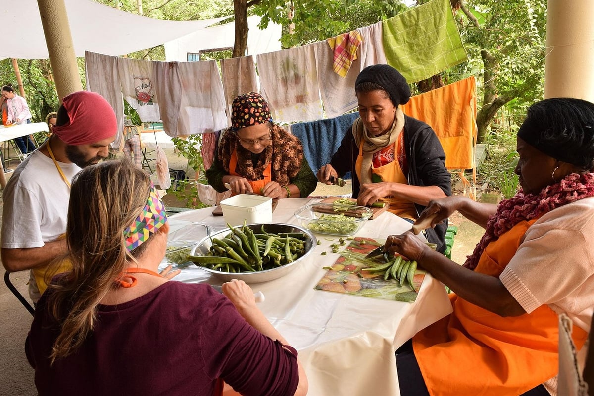 Comprendre la permaculture : principes et pratiques essentielles