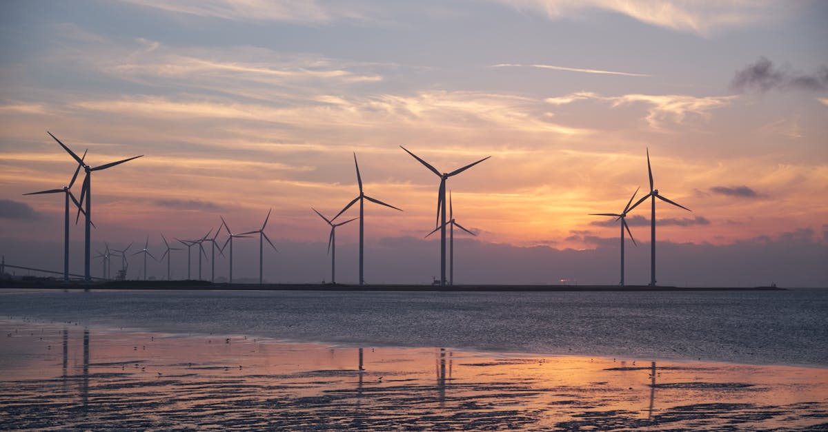 Éoliennes : Comprendre leur fonctionnement et leur impact sur l’environnement