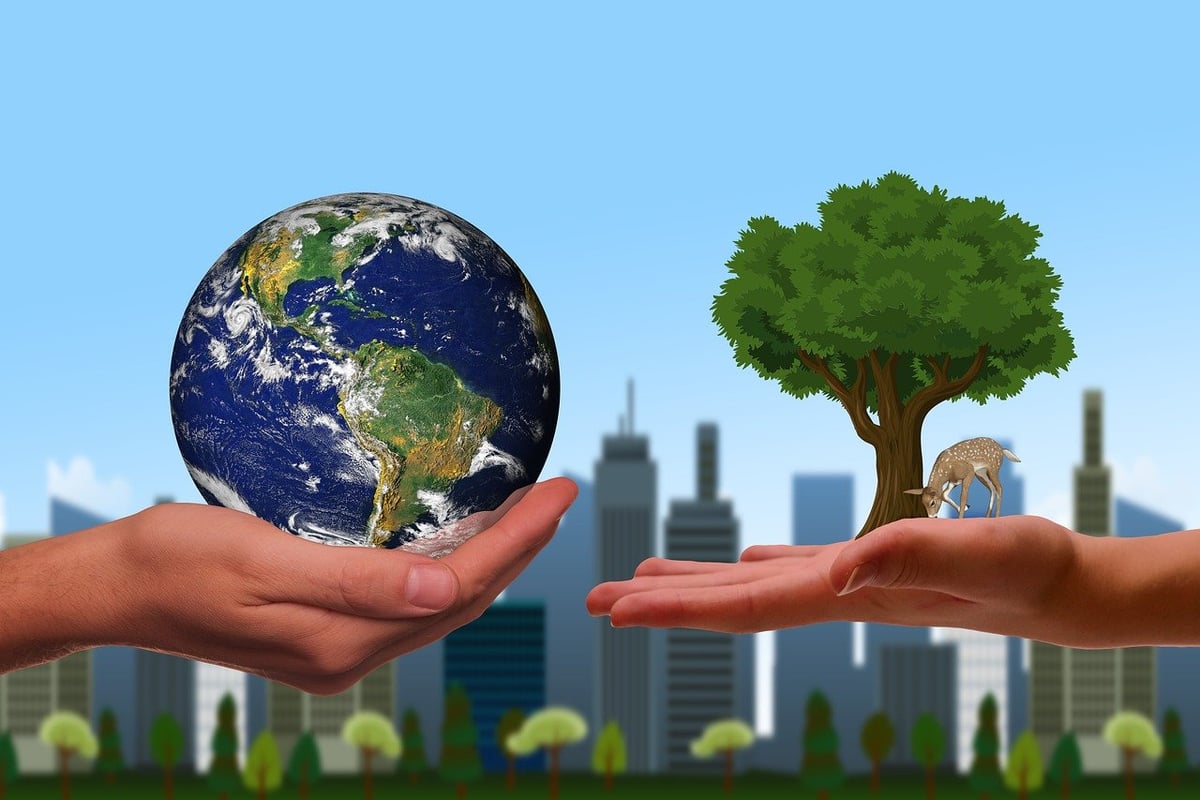 L’écologie régénérative : une solution pour restaurer nos écosystèmes